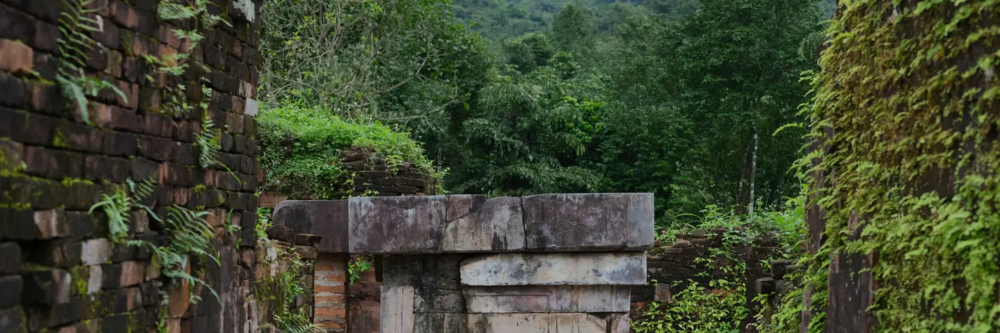 My Son, au Vietnam