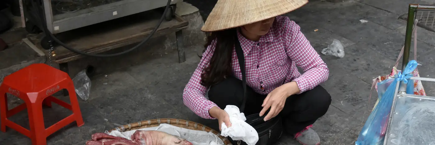 Hanoi, au Vietnam